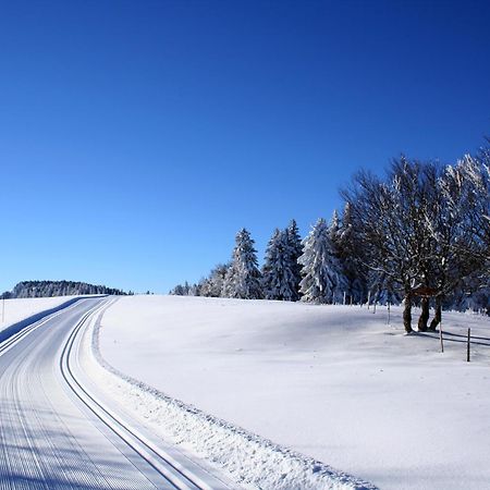 Logis Le Vernay Autrans-Meaudre-en-Vercors Εξωτερικό φωτογραφία