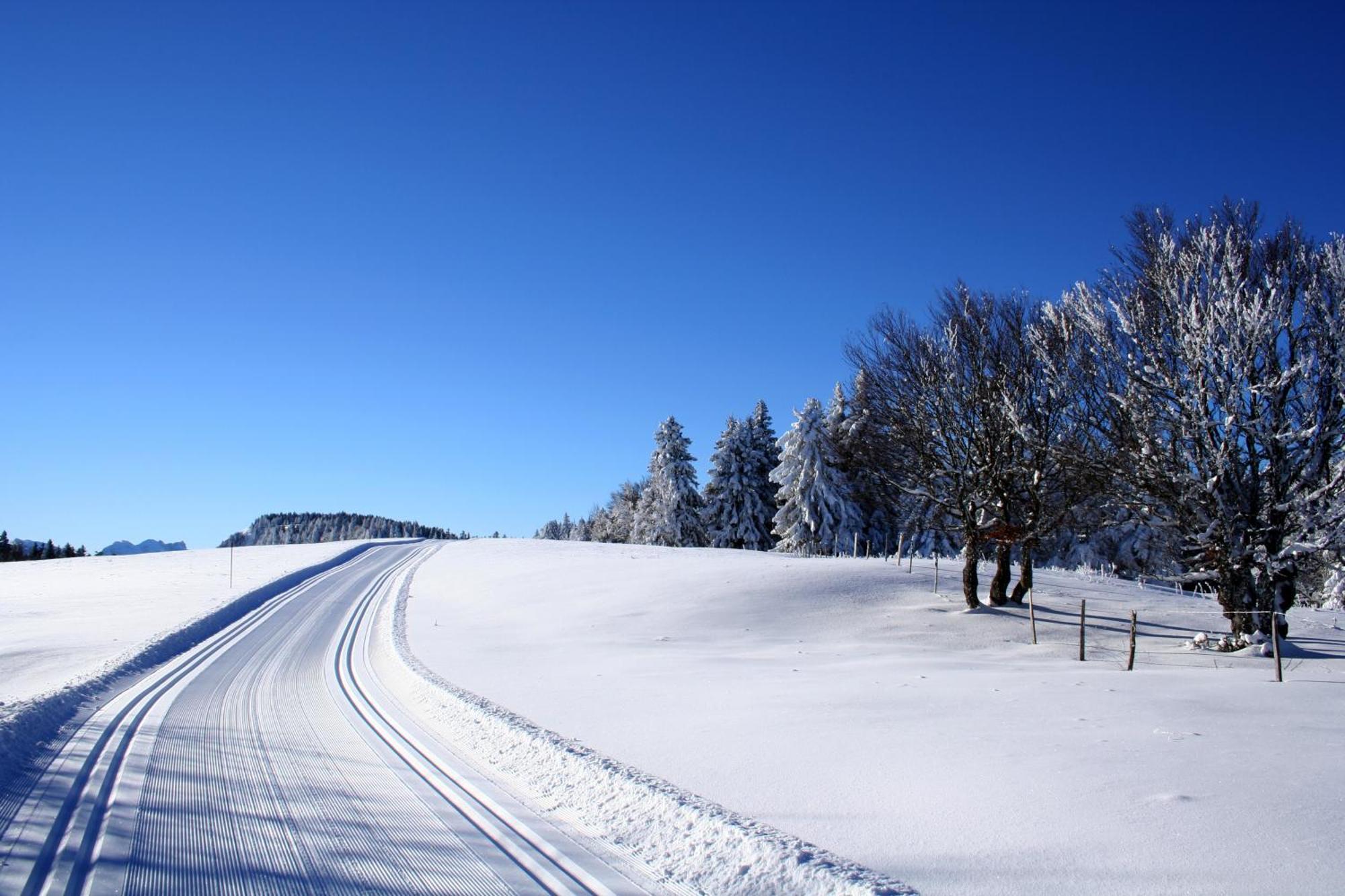 Logis Le Vernay Autrans-Meaudre-en-Vercors Εξωτερικό φωτογραφία